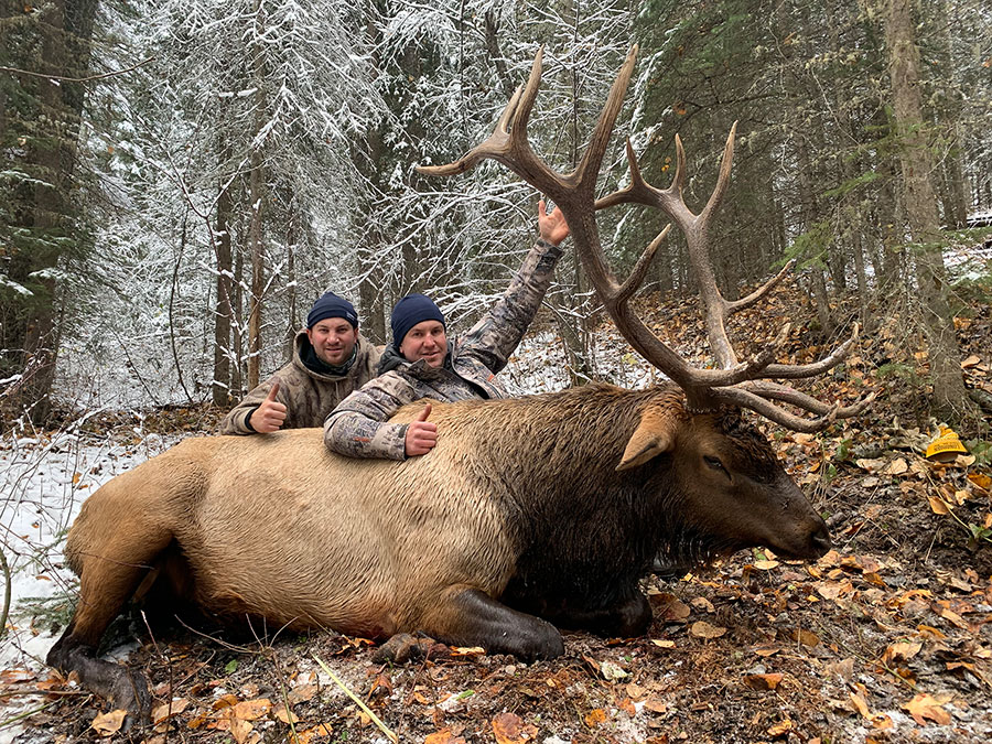 Elk Hunting BC