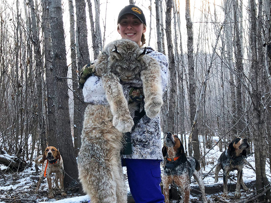 BC Lynx Hunt