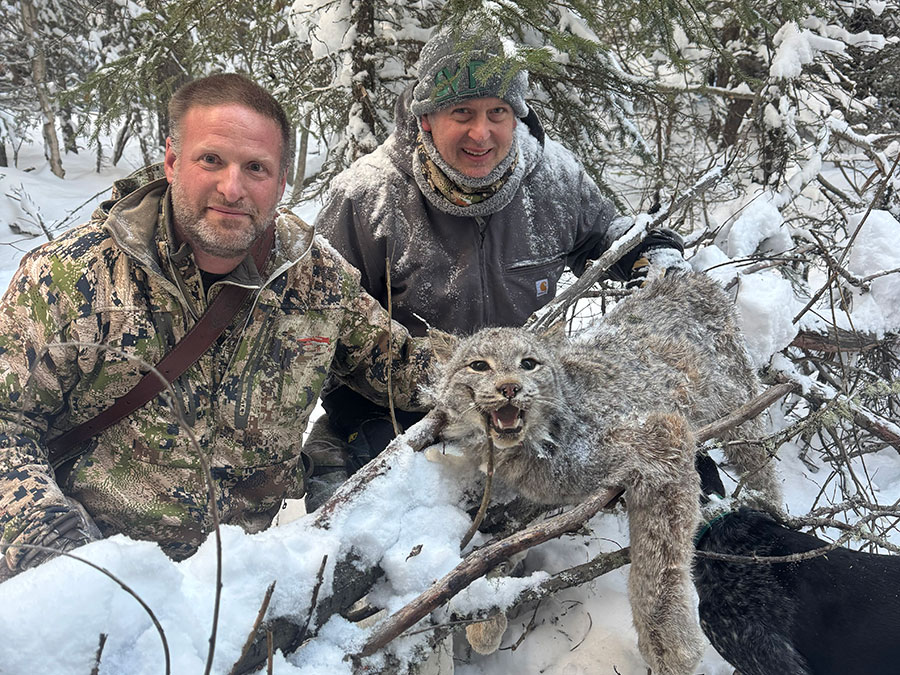 2026-lynx5 BC Lynx Hunt